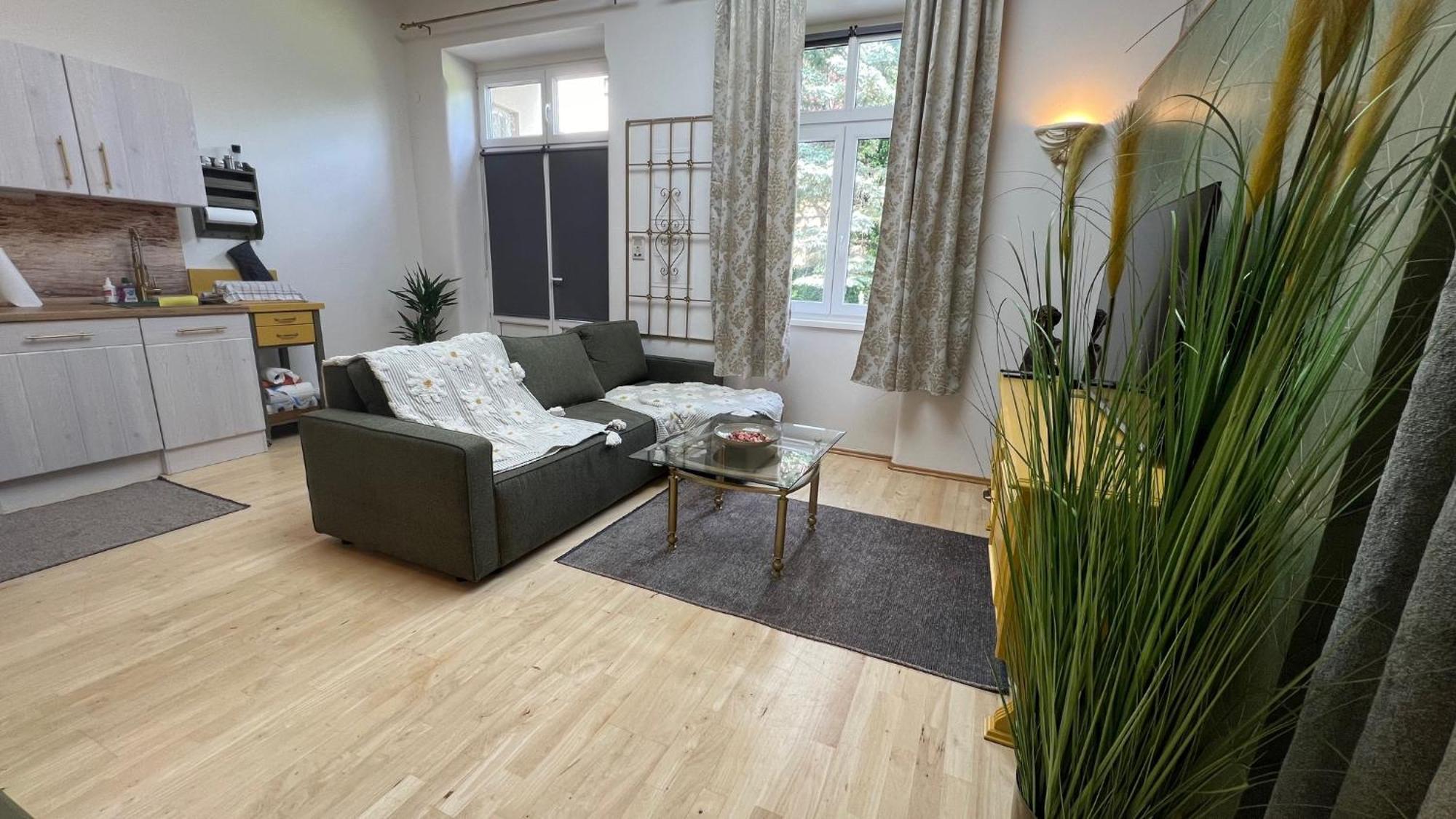 Appartment Rosengarten Baden Exteriér fotografie